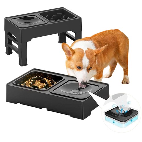 Futterstation hund 2in1 - futterstation,