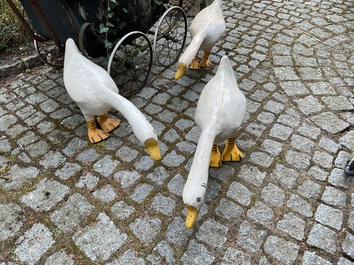 Gänse aus pappmachè - gänse,