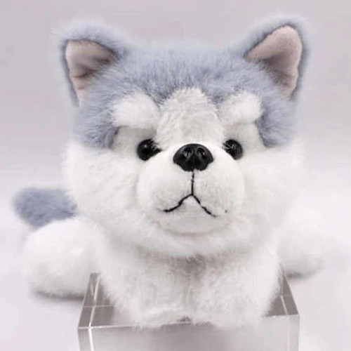 Liegender plüsch husky mit - plüsch,