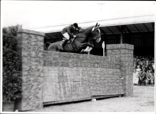 Foto springreiten sprung - foto,