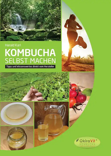 Kombucha selbst machen