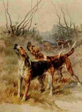 A4 Foto Graf Maud 1864 1943