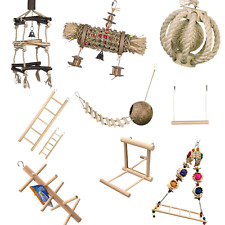 Vogel Sittich Papagei