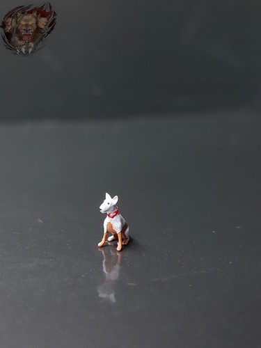 Bullterrier hund figur - hund,