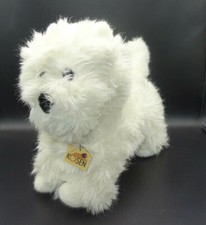 Kösen Hund Cesar West