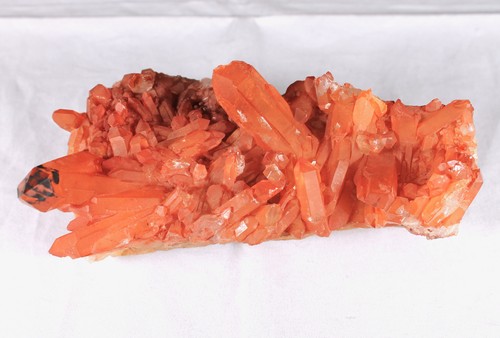 *Tangerine
