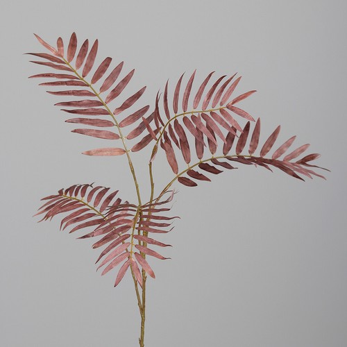 Palmzweig 80cm hellbraun dp - palmzweig,