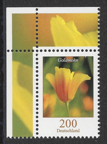 Goldmohn 200 cent - 200,