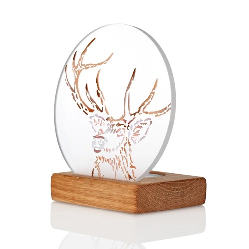 Stag moments highland - moments, hirsch