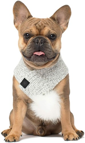 Canada pooch hundeschal - canada,