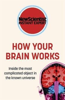 How your brain - your, inside