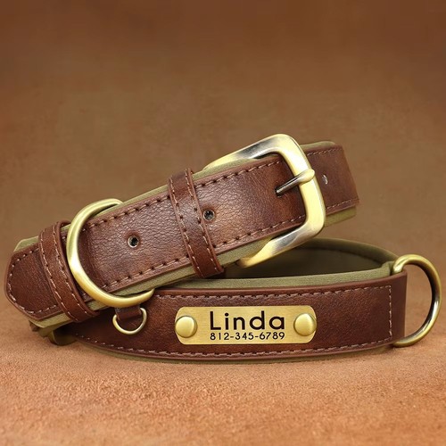 Hundehalsband personalisiert