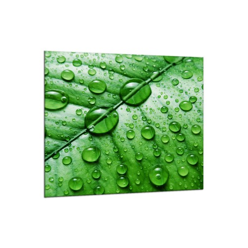 Küchenrückwand glas 65x60 - glas,