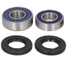 Radlager Satz hinten für