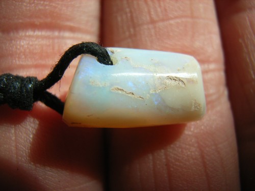 Opalisierter belemnit aus - opalisierter,