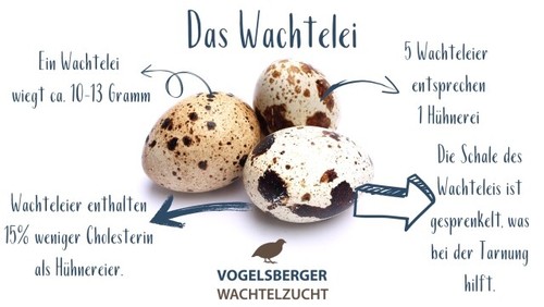 Delikatess wachteleier - delikatess,