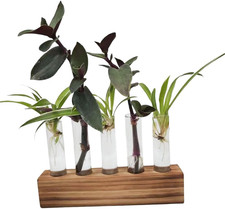 Reagenzgläser Für Blumen