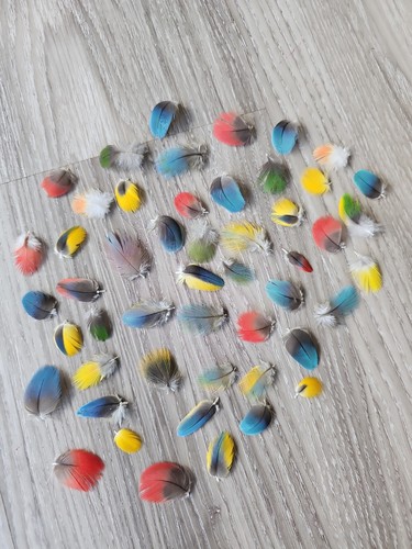 Bunte - x, 💙💛💚❤️
