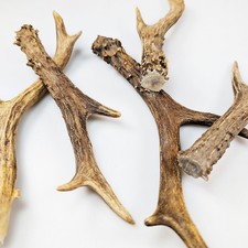 Cosplay Rehgeweih 15-22 cm - LARP & Fantasy–Helme, Masken & Accessoires Geweih