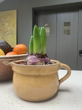 Original antike provenzalische