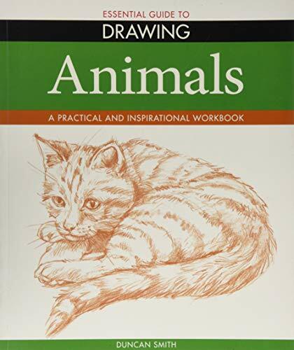 Essential guide drawing - essential,