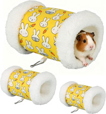 2 Stück Meerschweinchen