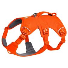 Ruffwear Web Master Hundegeschirr Blaze Orange - Sicher & Komfortabel für Hunde