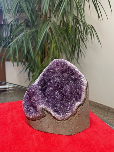 Hochqualitative amethyst druse - hochqualitative,