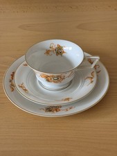 Schöne alte Rosenthal Porzellan Sammeltasse Gedeck Sammelgedeck Blumen