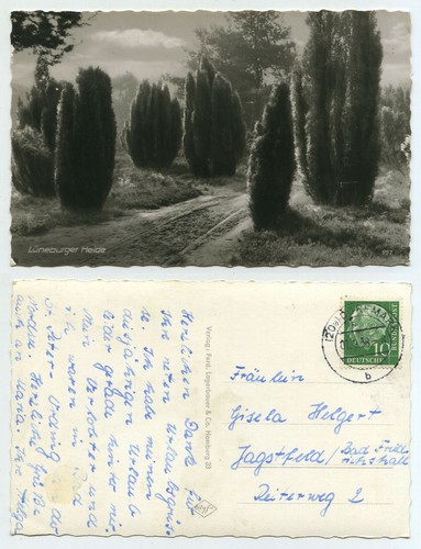 74488 lüneburger heide - lüneburger,