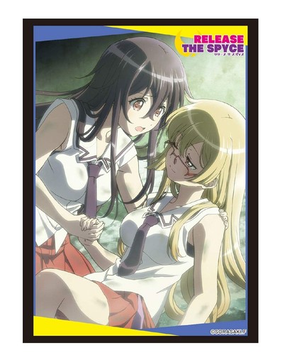 Bushiroad sleeve vol - hg, vol.1834