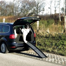 Trixie Klapp-Rampe Petwalk