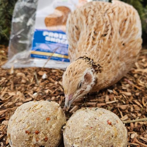 Wachtelglück proteinsnack - wachtelglück®,