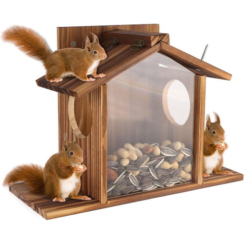 Eichhörnchen futterhaus aus - eichhörnchen,