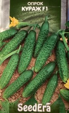 Семена огурцов