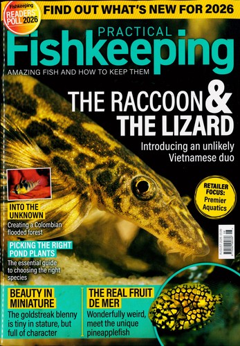 Practical fishkeeping magazine - fishkeeping,