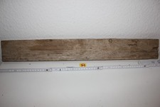 Treibholz Holzwurzeln