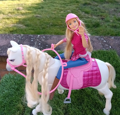 Barbie❣️DREAMHORSE❤️mi