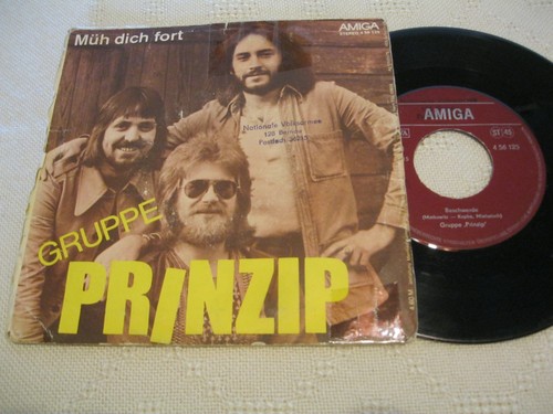 Single gruppe prinzip - single,