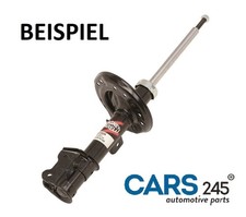 Stoßdämpfer Hinterachse Für