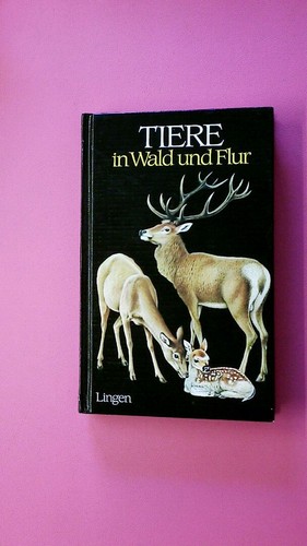 193716 tiere wald und flur - tiere, in