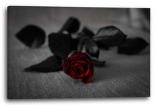 Lein-Wand-Bild: Blumenbilder