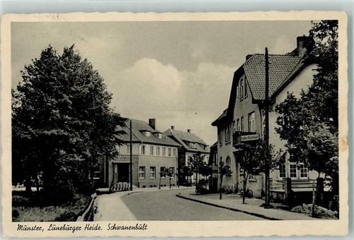 13286435 3042 munster - 13286435,