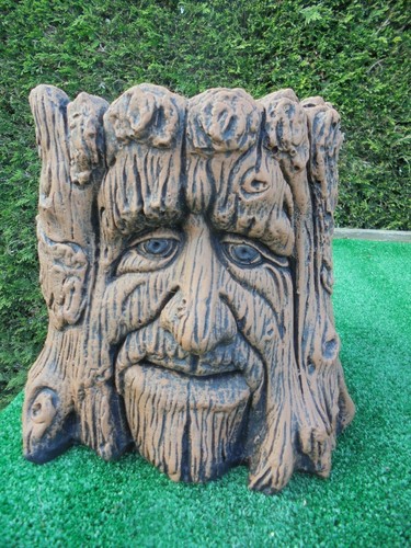 Baumstamm gesicht - baumstamm,