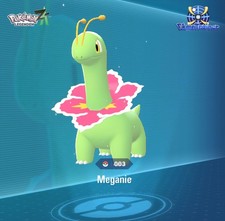 Meganie / Normal & Shiny / 6IV