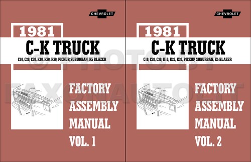 1981 chevy pickup truck - 1981,
