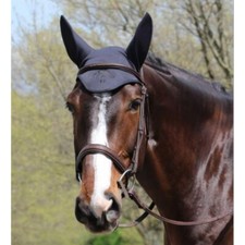 Fenwick LT flüssige Titan