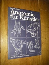 Anatomie für Künstler Rubins, David K.