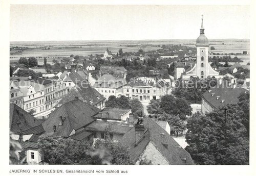 Jauernig javornik - jauernig,