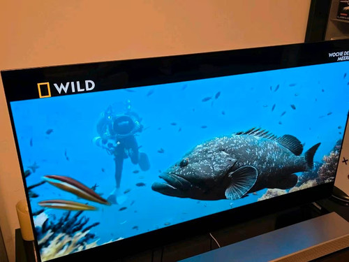 Oled55g19la zoll 4k uhd - zoll,